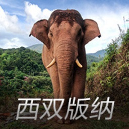 2025春夏一定要拥有的5只包包，时髦又百搭